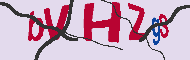 Captcha認証コード