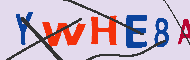 Captcha認証コード