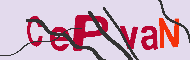 Captcha認証コード