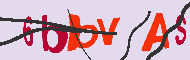 Captcha認証コード