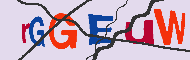 Captcha認証コード